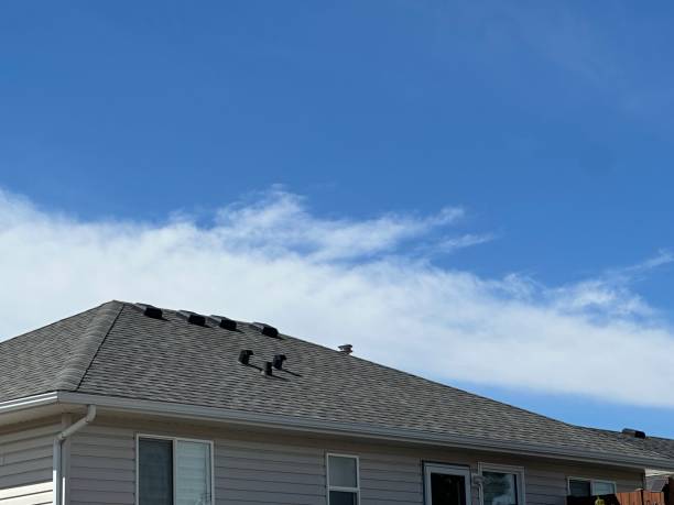 Best Gutter Installation and Repair  in Pine Grove, PA